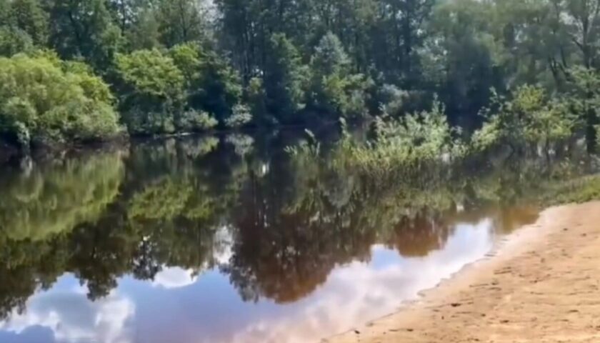 Пешеходную тропу к озеру Глубинка планируют оборудовать в Дзержинске