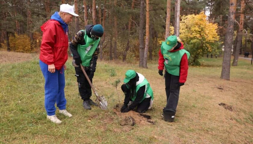 10 сосен посадили участники фестиваля «Корни» в парке в Дзержинске
