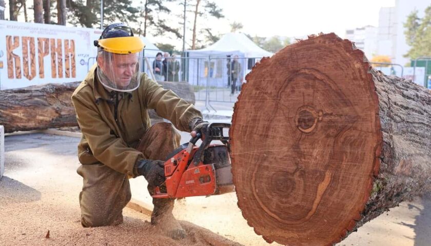 Арт-фестиваль резьбы по дереву «КОРНИ» проходит в Дзержинске
