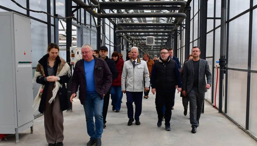 Обеспечат лесом всю страну