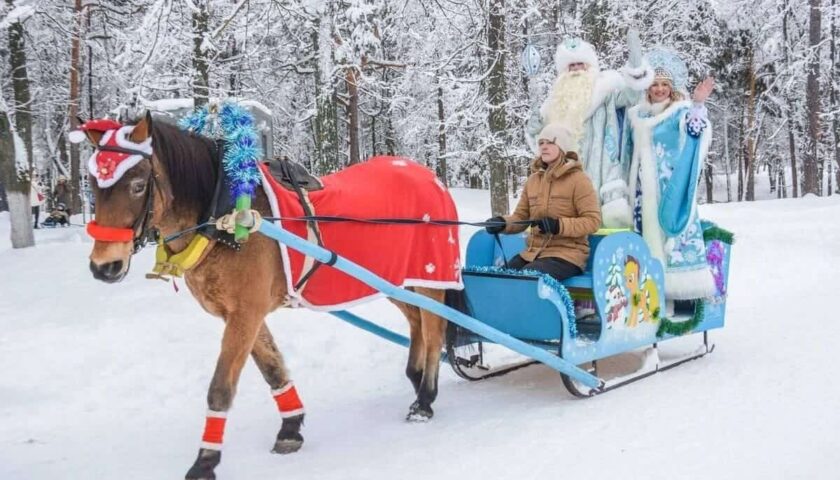 Главную городскую ёлку и ледяной городок откроют в центре Дзержинска 23 декабря