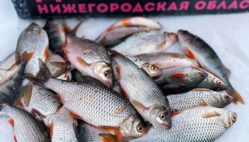 Чемпионат по ловле рыбы на мормышку со льда состоится в Дзержинске